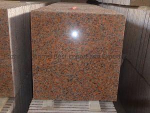 Chinese Cheap Granite Tiles/Floor Tiles/Floor Wall Tiles/Paving Tiles/Wall Cladding