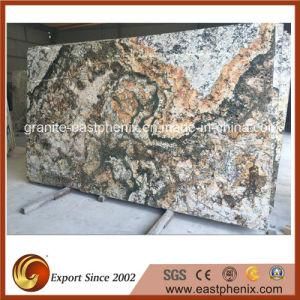 Popular Granite Slab for Wall and Floor Tile