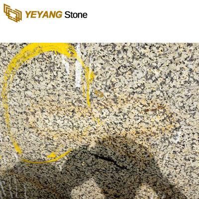 China Giallo Fiorito Granite Countertops for Kitchen/Bathroom