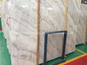 Natural Book Matched Guangxi White Marble for Wall/ Flooring Tiles/Countertop