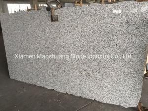G723 Zebra Tiger White Granite Big Slabs