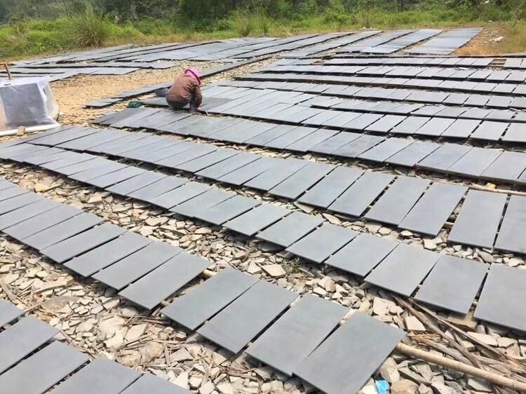 China Top Quality Grey Granite/Basalt Grey Granite/for Hotel/Floor/Background
