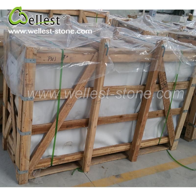 Honed Finished Bullnose Edge Beige Sandstone Pool Coping