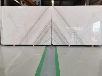 White Marble Slabs Wall Tile Natural Marble Flooring Tile Background Big Slab Marble Polished Surface