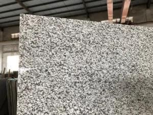 Jilin White Granite Slab