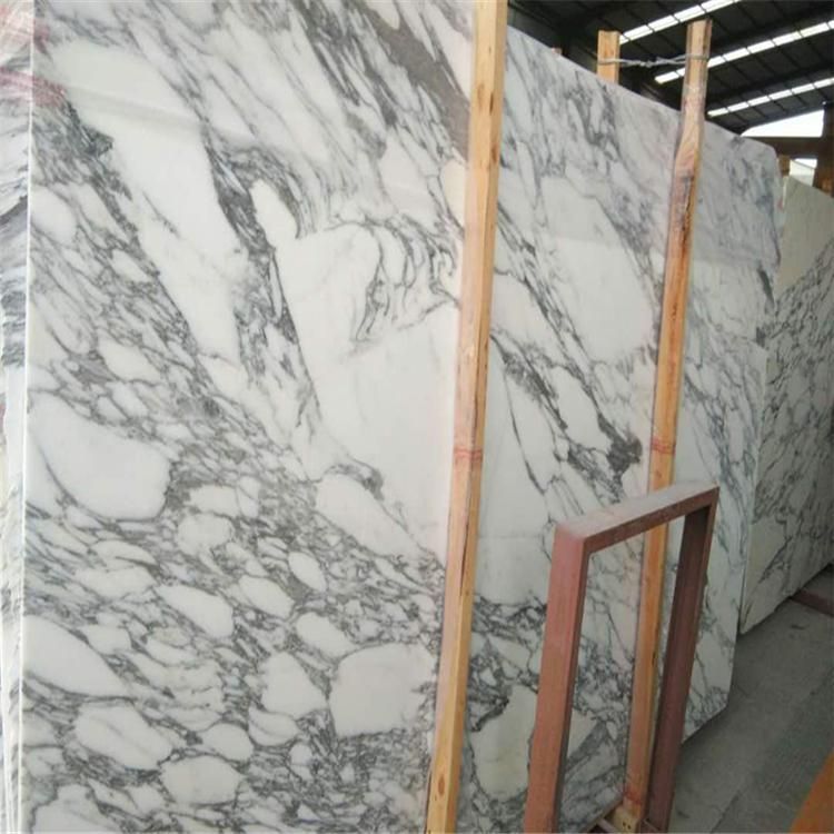 China Cheap Polished White Stone Arabescato Corchia White Marble