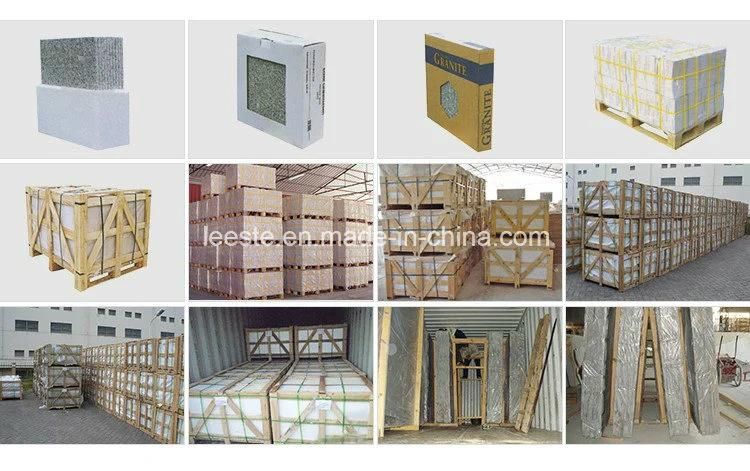 Hot Sale Good Price Chinese Natural Calcatta Gold Marble Tile for Backsplash