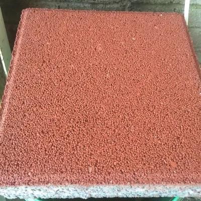 High Strength Concrete Brick/Paver Residential Quarters/Parks/Landscape/Garden Decoration