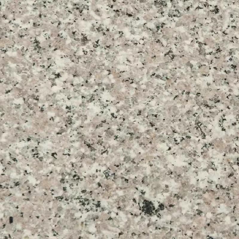 Cheap Polished Granite and Star Granite for Background Wall