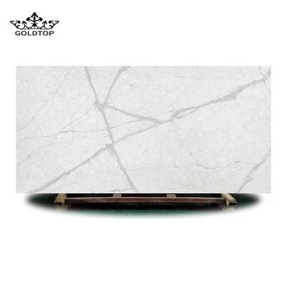 Bird White Kitchen Countertops Island Worktop Table Tops Bathroom Vanity Wall Panels Artificial Stone Tiles Quartz Slabs