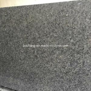 Natural Ice Blue Granite for Floor Tile Slab