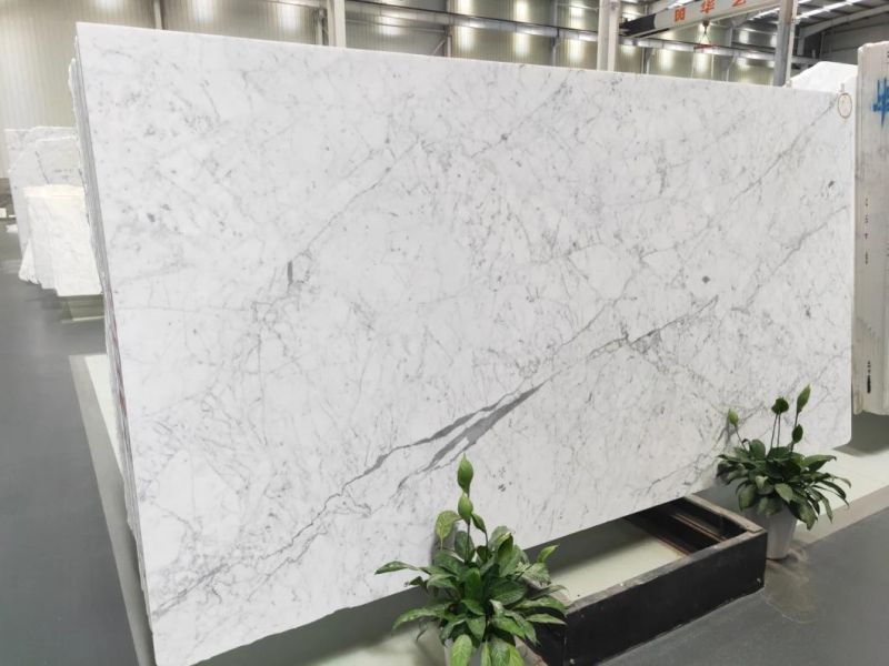Natural Stone Grey/White/Black/Red/Brown/Green/Golden 600*600mm Carrara WhiteBianco White Polished Big Slabs Customized Countertop Marble for Floor Tile