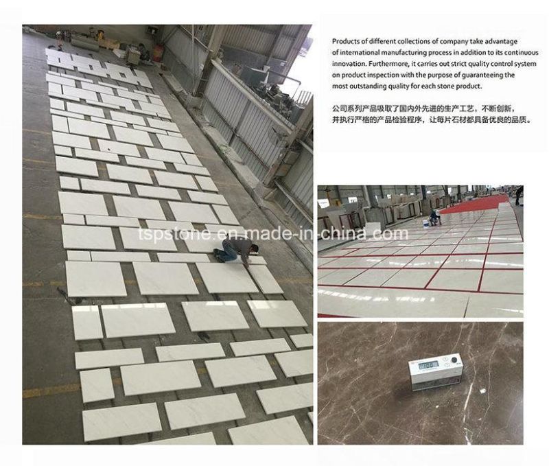 Natural Stone Bianco Marmala White Marble Slabs