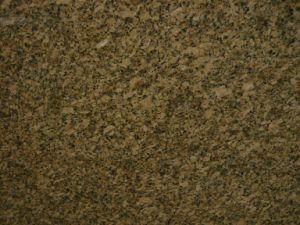 Imported Granite Carioca Gold for Tiles/Countertops/Kitchentops/Hotel/Building Materials