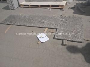 High Quality Natural Granite Benchtops Granite for Kitchen Tops/ Home Hotel Decoration