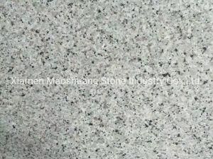 China Bala White Granite for Slabs, Tiles, Countertops