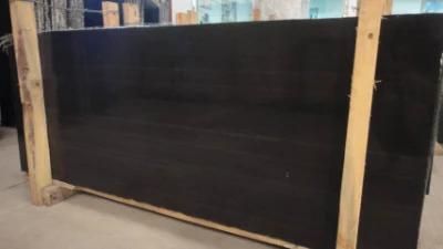 Black Wood Grainy Marble with Two Different Pattern