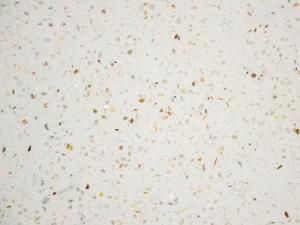 Quartz Slab for Kitchen Countertop and Floor Tiles