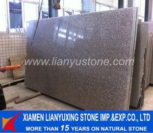 G664 Granite Slab for Tombstone &Floor &amp; Stair