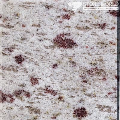 Polished White Galaxy Granite Tiles for Flooring &amp; Wall (MT023)