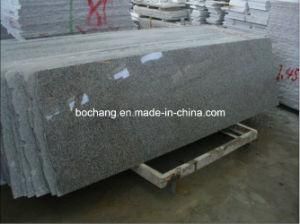 G623 Grey Granite Rosa Beta Slab for Wall and Flooring
