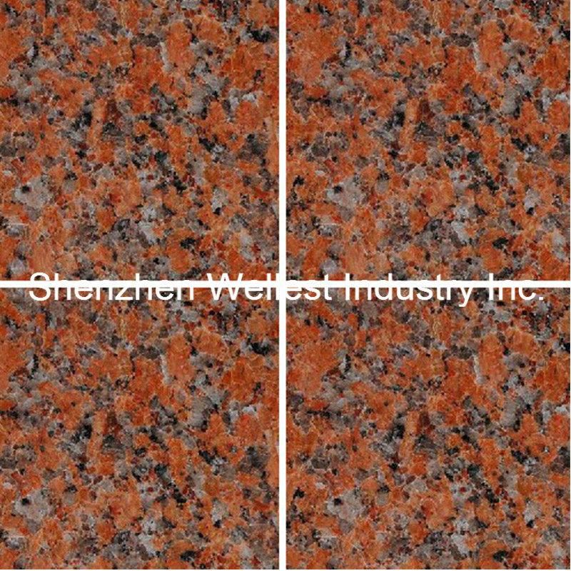 Wholesale Factory Customized Polished Wall Tiles G562 Maple Red Granite for House