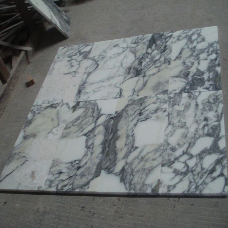 Polishing Italy Marble Tile Arabescato Vagil Corchia White Marble