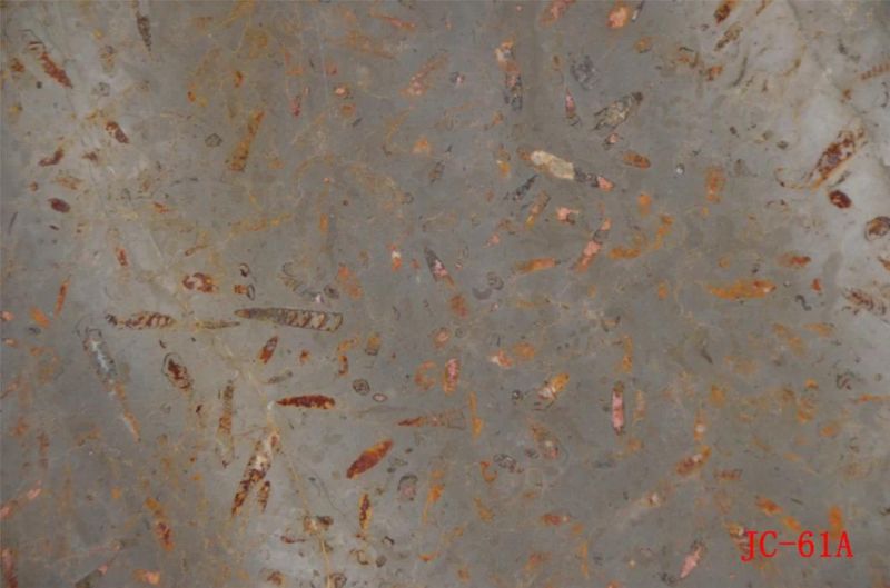 Silver Grey Polished Marble Slabs for Interior Flooring Wall Decoration