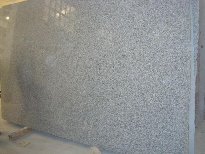 Chinese G603 Sardo Grey Light Grey Granite Big Polished Slabs