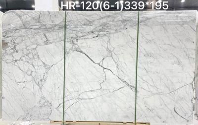 Nautral White Marble Calaeatta Slab Tiles Table