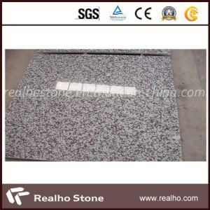 Cheap Price Chinese G439 Big Flower White Granite for Flooring Tiles