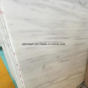 Bianco Sivec White Marble Slabs for Countertop