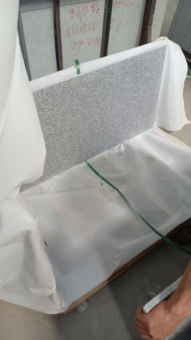 Hb G603 Light Grey Granite Slabs Use for Worktop Countertop