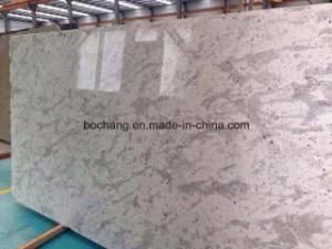 Natural White/Grey/Black/Red/Pink/Brown/Yellow/Beige Polished Granite for Floor Wall Cladding Tile