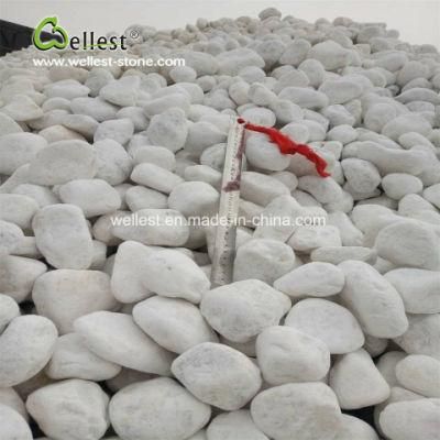 White Pebble Stone Honed Finish for Flooring and Walling Paver