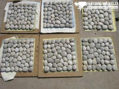 Natural Yellow/Black/Grey Polished Pebble Stone on Mesh