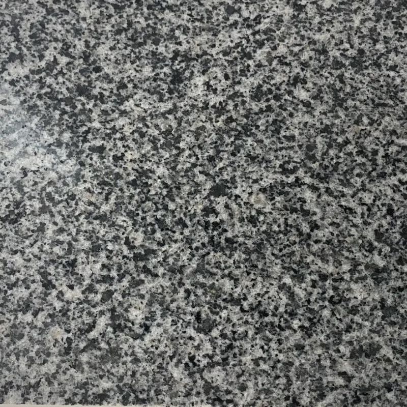 Quarry Owner Competitive Price Nice Jilin Granite for Building Materials