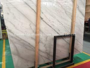 China Natural Stone Polished/Honed/Antique/Sandblasted White Marble Slab for Interiors/ Indoor/ Floor/Wall Decoration/Background
