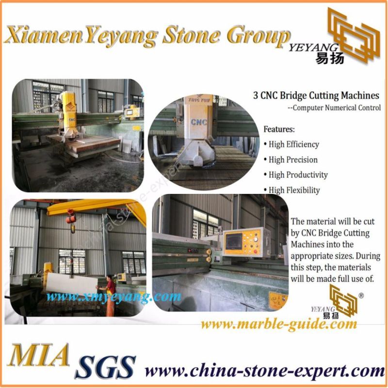 Tiger Skin White Granite Countertop Benchtop Vanitytop for Kitchen/Bathroom/Table