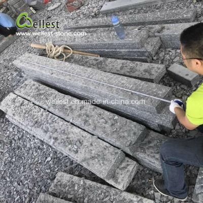Rough Black Granite All Side Is Pineapple, Garden, Road, Street Kerbstone, Paving Stone