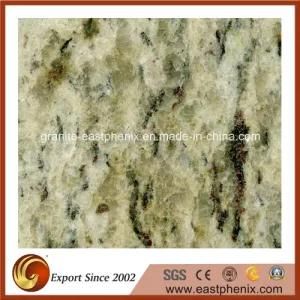 Imported Giallo Oranmental Polished Granite Shower Tile
