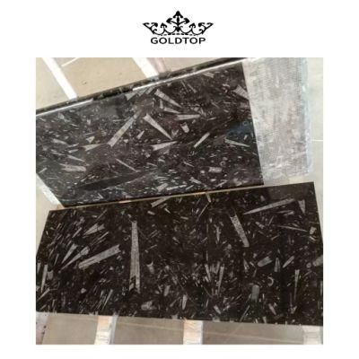 Polished/Honed Black/Beige/White Decorative 600*600 Wall/Floor Tiles Natural Stone Fossil Stone &Ocean Jura Marble for Home