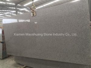 High Quality G603 Grey Granite for Countertops/ Vanity Tops