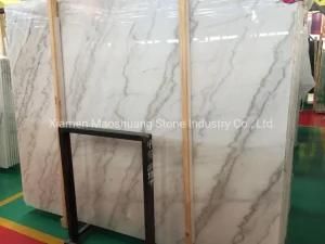 Polished Guangxi White Marble Slabs for Countertops, Tiles, Building Materials