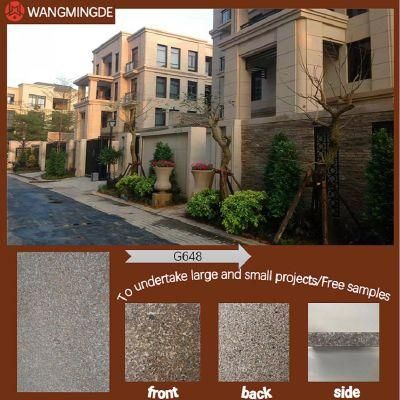 High-Quality Beautiful Granite for Walls and Countertops