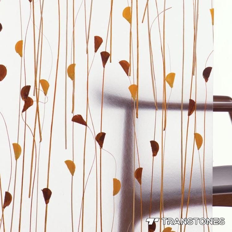 Popular Translucent Plant Pattern Acrylic Office Divider