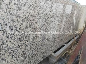 New Xili Red China Rosa Porrino Red Granite Slabs