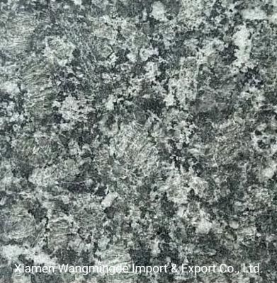 China Natural Green Polished Granite for Coumtertops Walls Floor