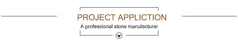 Granite Cobblestone Meshed Paving, Driveway Paving, Patio Paving Stone, Landscaping Stone