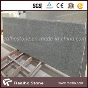 Light Grey Palisades/New G603 Granite Slab for Outdoor Tiles